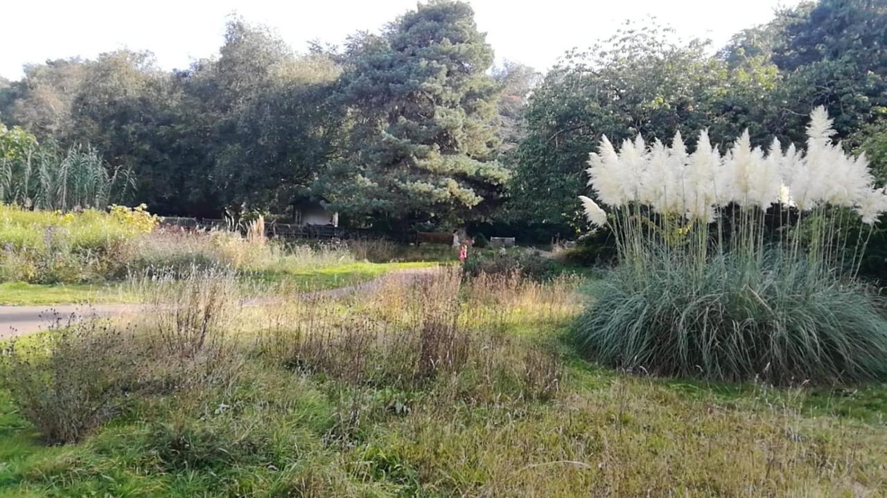 Many Worlds Meet - Eurostar, Wimbledon 30 Mins, Central London, Gatwick 15 Mins - Spacious, Sleeps Up To 16 Plus Cot - Free Wifi, Parking - Next To Lloyd Park, Great For Families, Walkers, Relocators - Ideal For Contractors Croydon Buitenkant foto