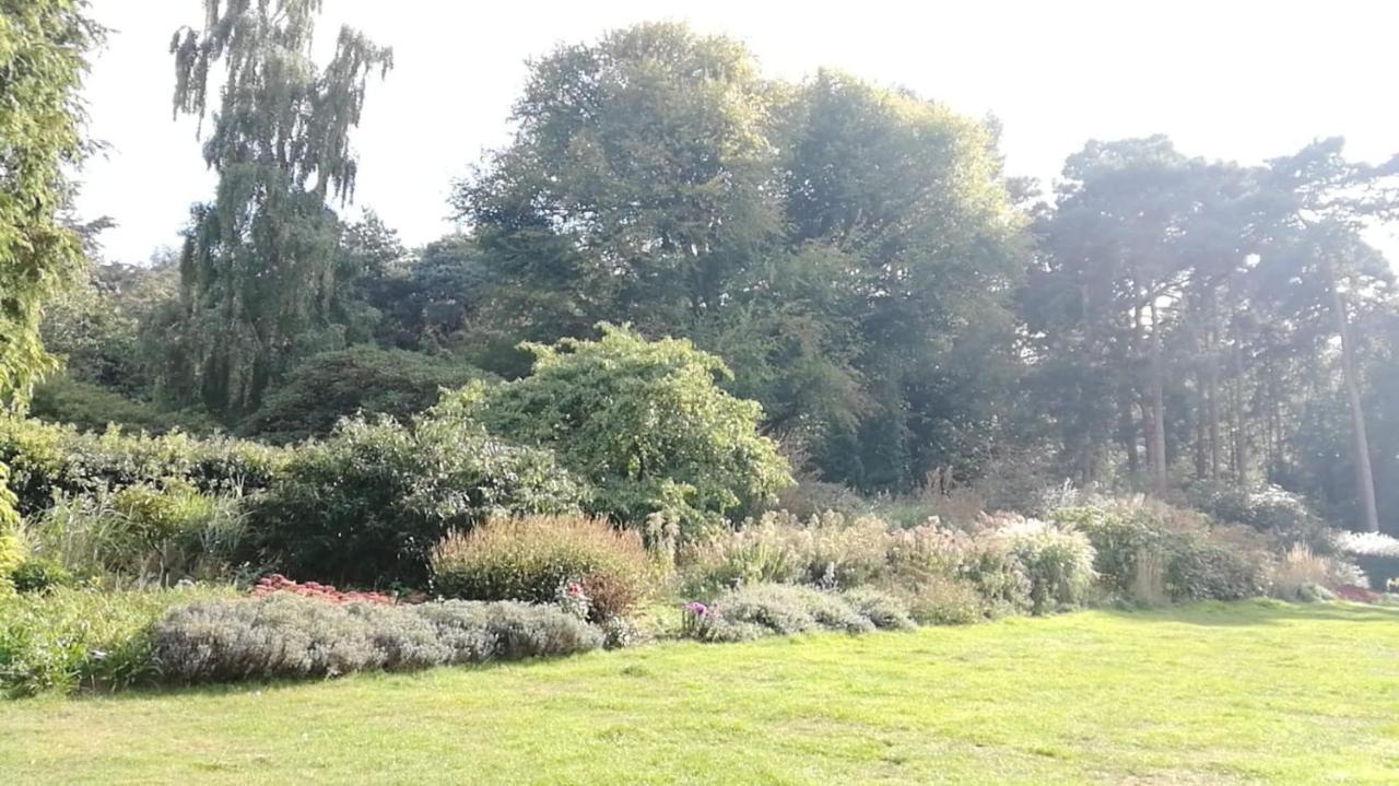 Many Worlds Meet - Eurostar, Wimbledon 30 Mins, Central London, Gatwick 15 Mins - Spacious, Sleeps Up To 16 Plus Cot - Free Wifi, Parking - Next To Lloyd Park, Great For Families, Walkers, Relocators - Ideal For Contractors Croydon Buitenkant foto